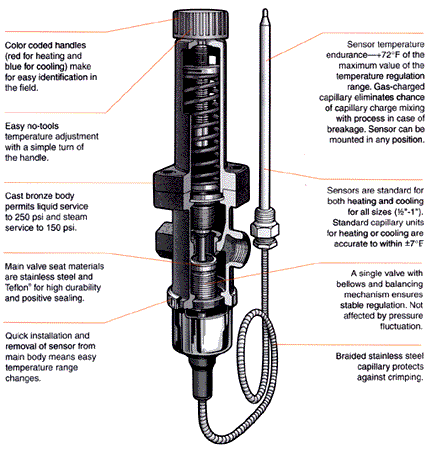 The Armstrong Temperature Regulator